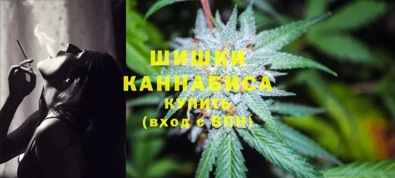 Бошки марихуана THC 21%  закладка  Олонец 